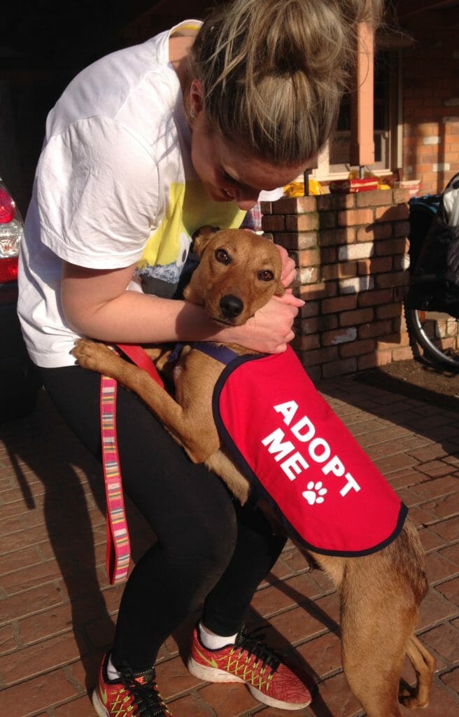 Adopt me vest - live