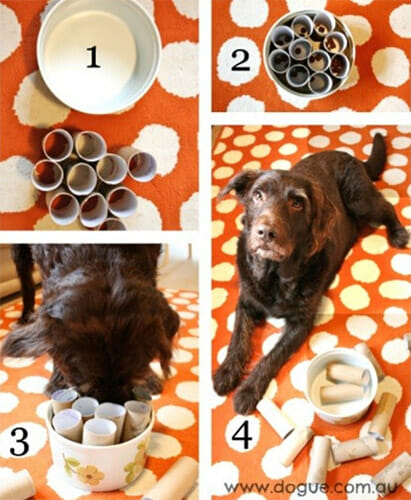 DIY Dog Boredom Busters