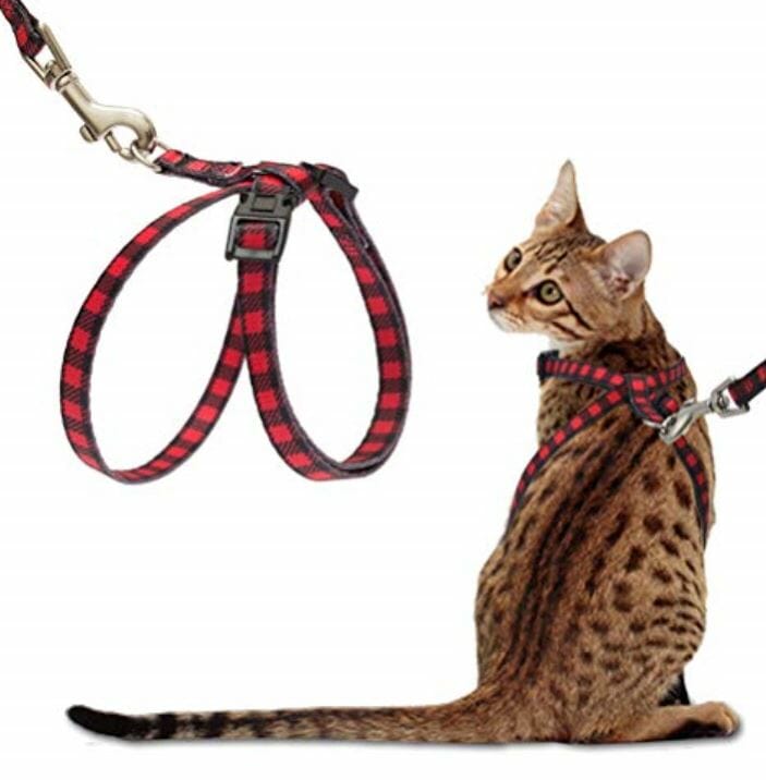 Petbarn shop cat harness