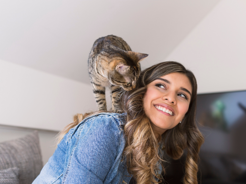 6 Reasons Why Your Cat Licks Your Hair