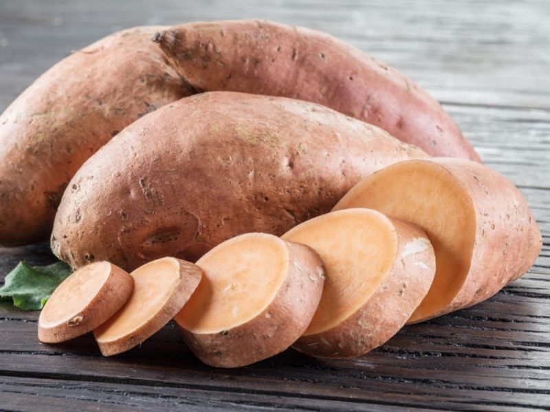 Can Cats Eat Sweet Potatoes?