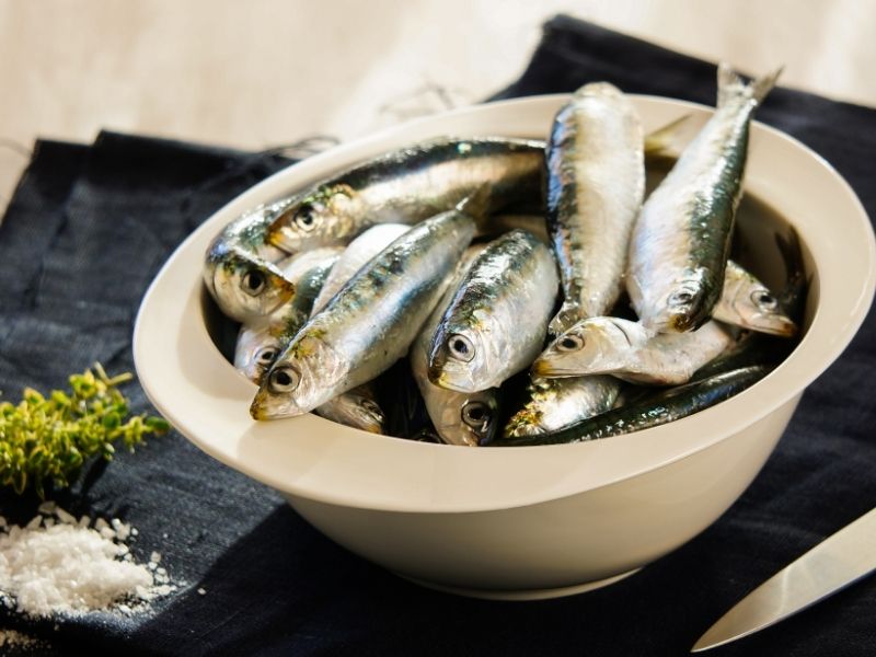 Can cats eat 2025 sardines in brine