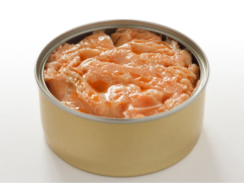 Can Cats Eat Canned Salmon?