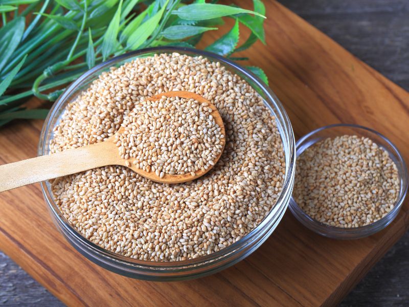 Can Cats Eat Sesame Seeds?