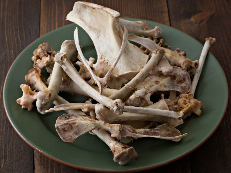 Can Dogs Eat Turkey Bones? | Waldo's Friends