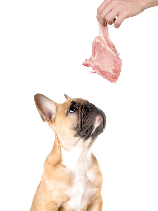 Can dogs eat raw meat from the grocery store best sale