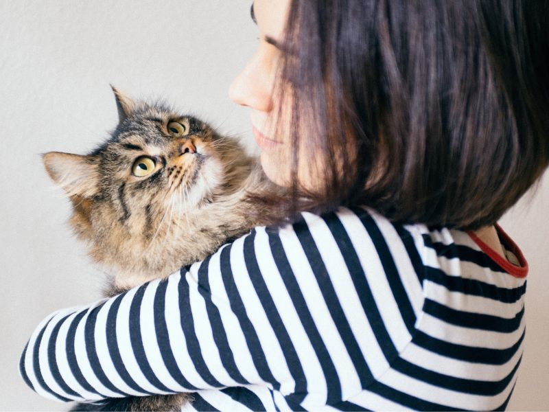 A Guide to Fostering Cats in Melbourne