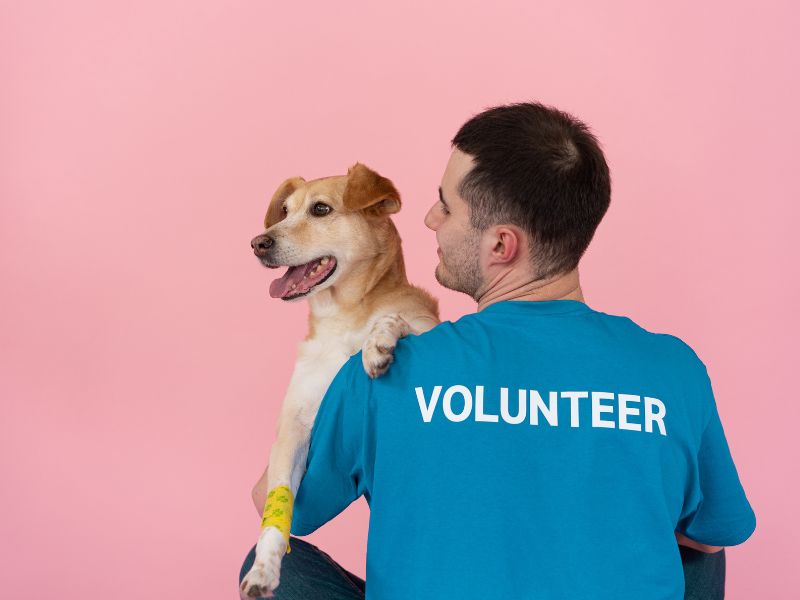 rescue dog and volunteer