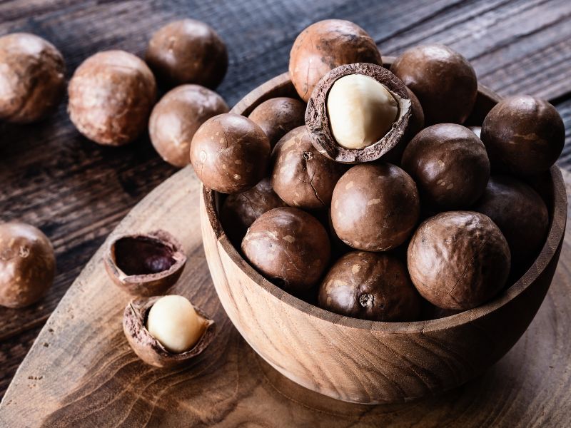 Can Dogs Eat Macadamia Nuts?