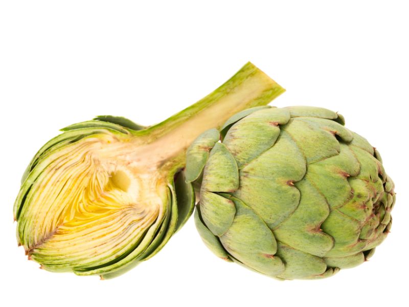 Can Dogs Eat Artichokes?